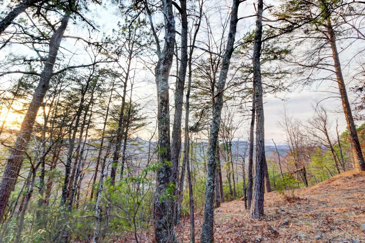 Misty View Cabin Hatchertown Bagian luar foto
