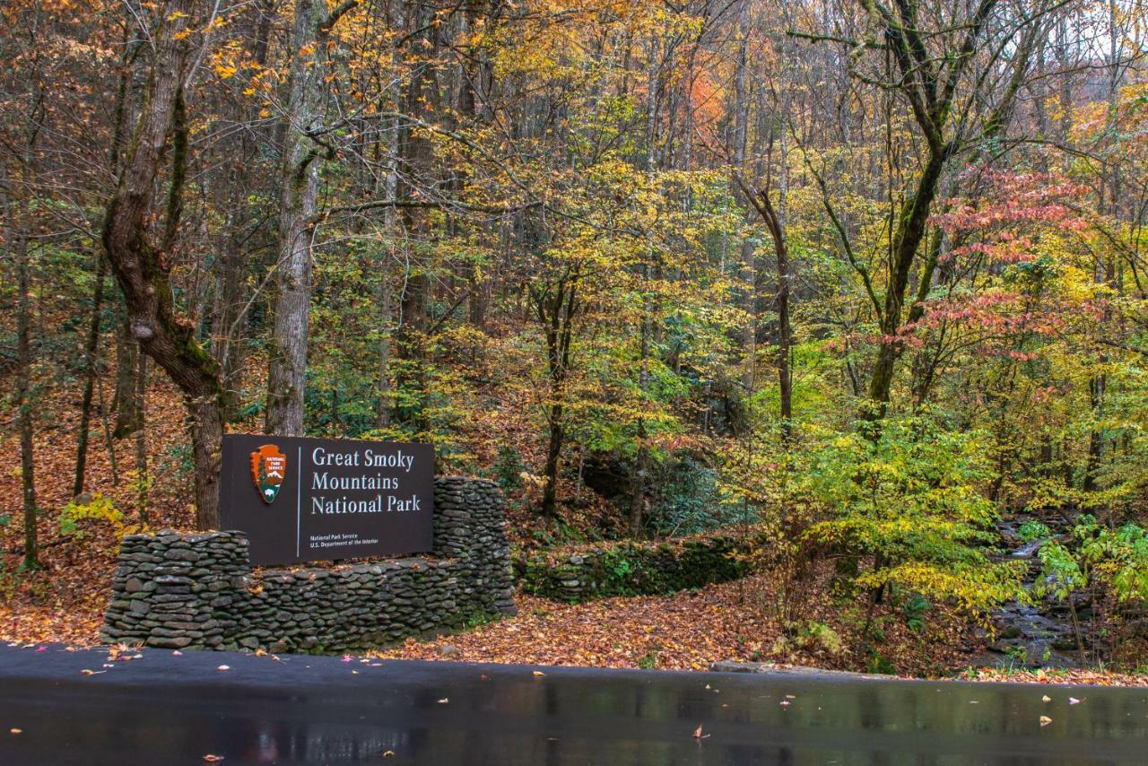Misty View Cabin Hatchertown Bagian luar foto